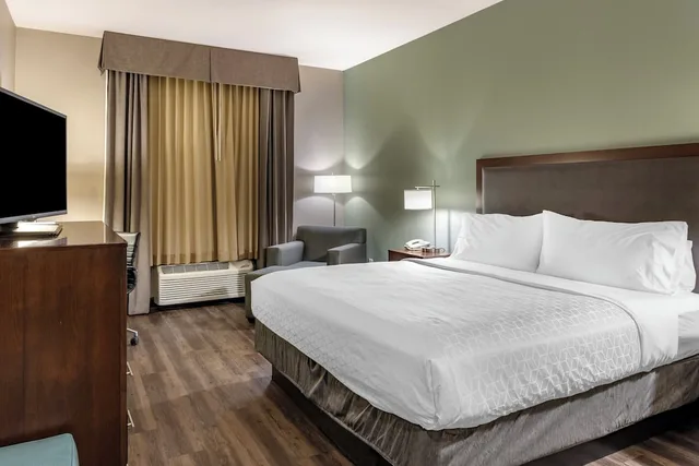 غرفة قياسية بسرير كينج، Holiday Inn Express Hotel & Suites Indio - Coachella Valley 4/6