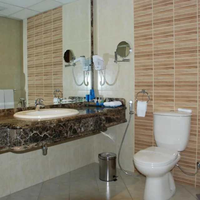 غرفة تنفيذية بسرير مزدوج، Safir Cairo 6/9