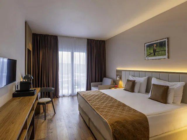 Superior, Double Bed, Balcony, Movenpick Resort and Spa Fruske Terme 1/10