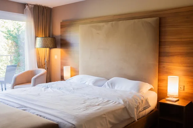 Deluxe, Double Bed, Forest View، Le Baron Tavernier Hotel Restaurants Spa 3/8