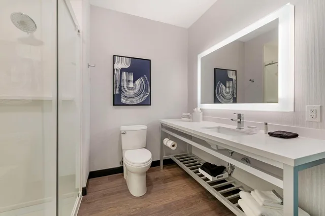 جناح بسرير كينج، Cambria Hotel Detroit Downtown 2/2