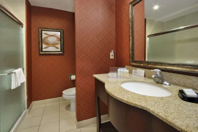 جناح بسرير كينج مع أريكة، Hampton Inn Suites Conroe I 45 North 2/3