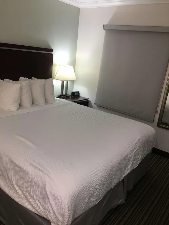 غرفة قياسية بسرير كينج، Best Western Courtesy Inn - Anaheim Park Hotel 3/10