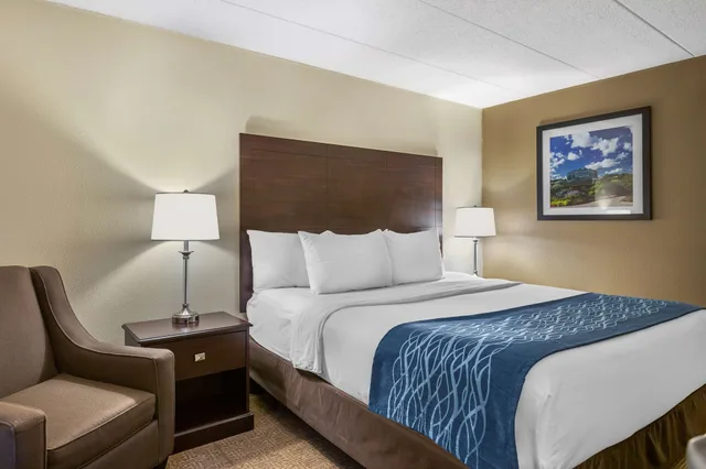 غرفة قياسية بسرير كينج لذوي الإعاقة، Comfort Inn Grand Rapids Airport 4/5