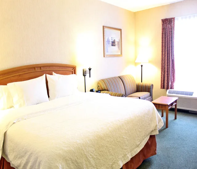 Studio, King Bed, Hampton Inn By Hilton Saltillo 1/3