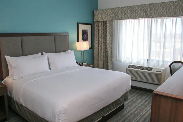 جناح بسرير كينج بحوض استحمام لذوي الإعاقة، Holiday Inn Hotel Suites Denver Tech Center Centennial 1/8
