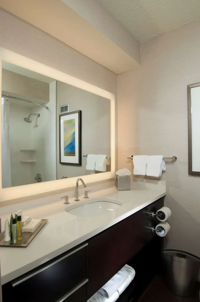 Room, King Bed, Executive Level, Bathtub, Accessible، Hilton Albany 6/7