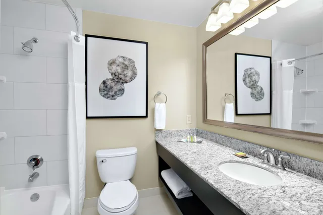 جناح بسرير كينج بإطلالة على الفناء بمنطقة جلوس، DoubleTree Suites by Hilton Charlotte SouthPark 6/6