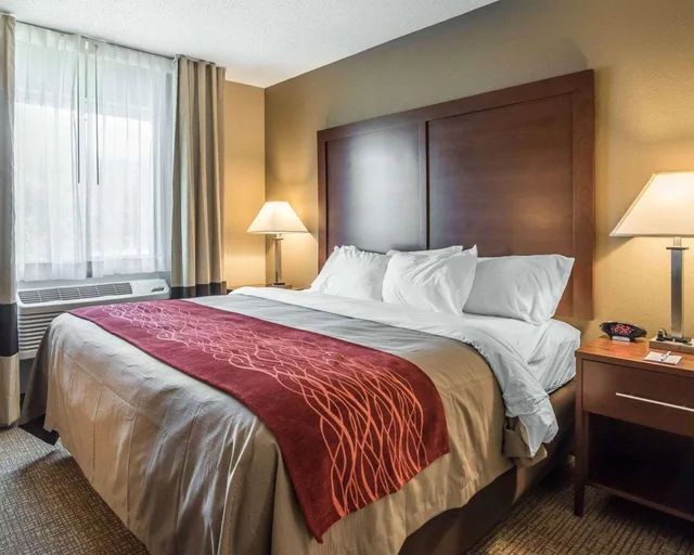 Efficiency, King Bed، Comfort Inn Saugerties 4/4