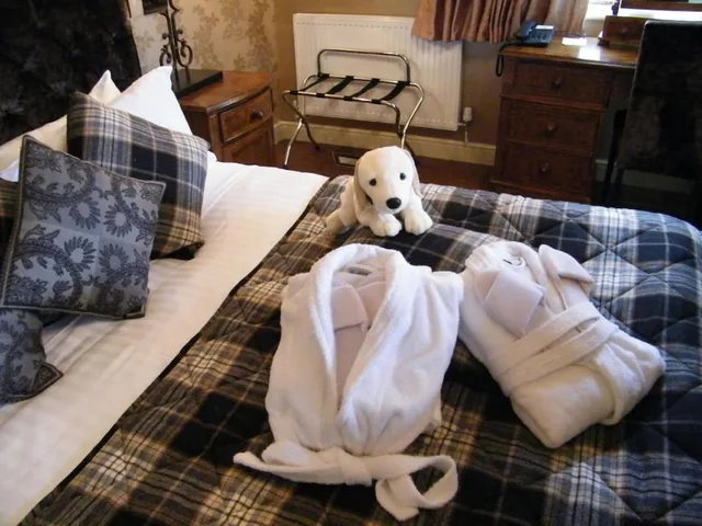 Cozy House, Junior Suite, Queen Bed، The Coed y Mwstwr Hotel 2/2