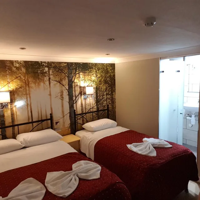 غرفة ثلاثية بحمام خاص، Central Hotel 1/8