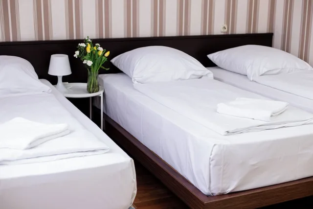 غرفة ثلاثية، Fair Hotel Villa Diana Westend 5/9