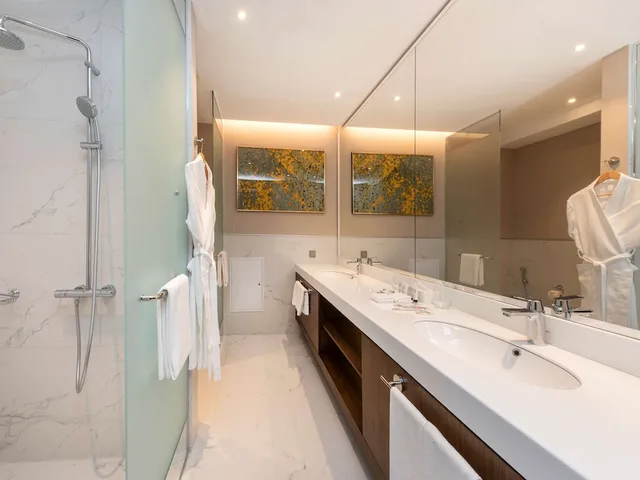 غرفة ديلوكس بانورامية بسريرين منفصلين بإطلالة على الجبل، Swissotel Wellness Resort Alatau Almaty 10/12