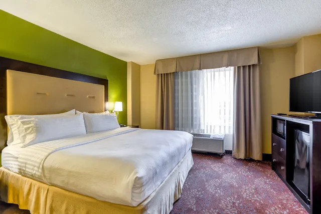 جناح بسرير كينج بغرفة نوم واحدة، Holiday Inn Indianapolis North Carmel 1/5