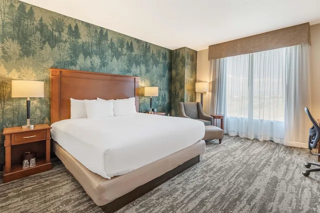 Room, King Bed, Drury Inn and Suites Denver Central Park 1/3