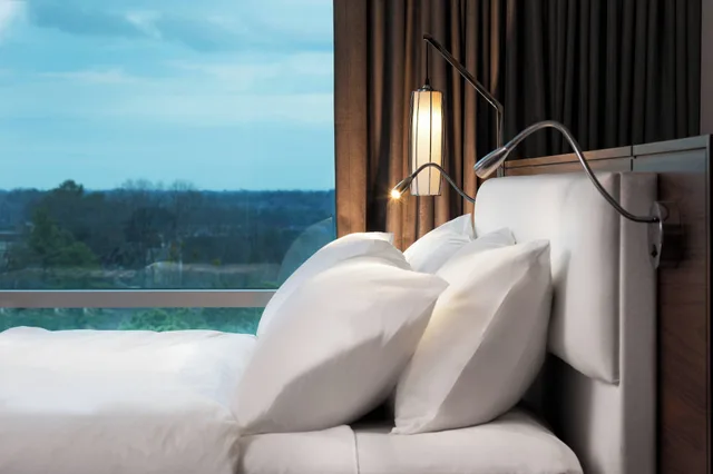 جناح بغرفة نوم واحدة، Le Meridien Atlanta Perimeter 5/10