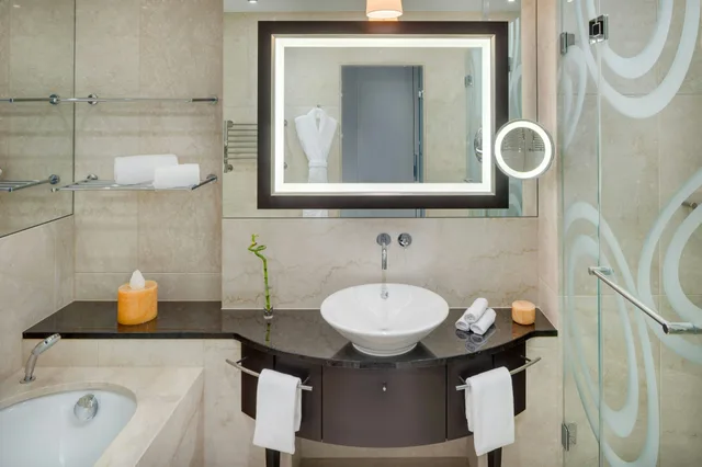 غرفة بسرير مزدوج، Grand Hotel River Park A Luxury Collection Hotel Bratislava 2/2