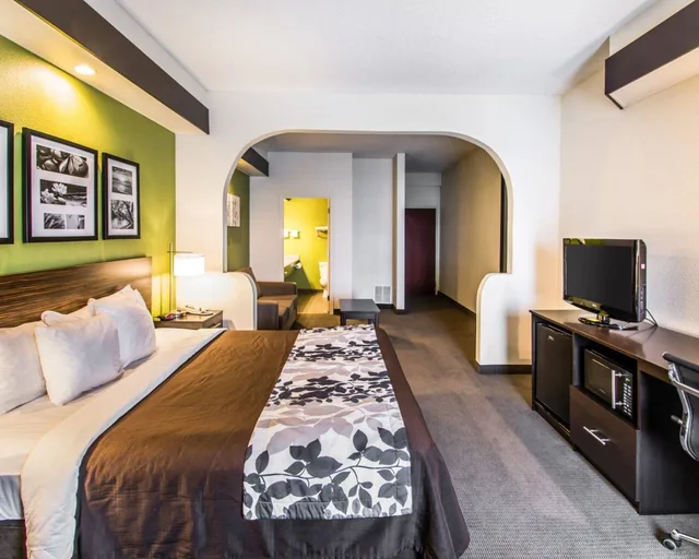 جناح مع أريكة، Sleep Inn and Suites Orlando International Airport 2/3