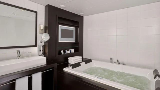 جناح ديلوكس، Park Plaza Eindhoven 3/3