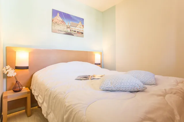 شقة بغرفة نوم واحدة، Pierre Vacances Residence Le Clos D Eguisheim 1/7