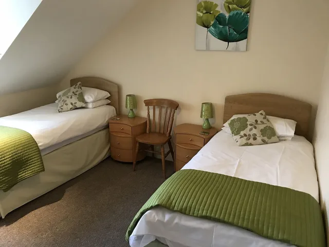 شقة عائلية بسريرين منفصلين بغرفتي نوم مع أريكة، The Shelbourne Apartments 2/4
