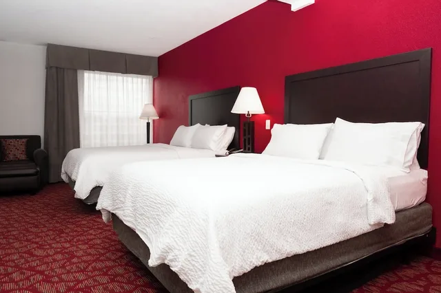 غرفة قياسية بسرير فردي، HOLIDAY INN GUIN 1/4
