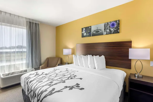 غرفة بسرير كينج، Sleep Inn North - Central York 1/2
