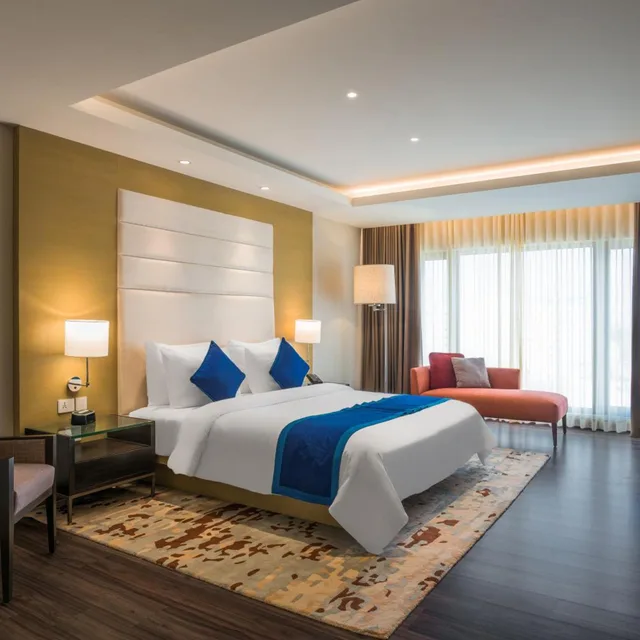 جناح بسرير مزدوج، Feathers - A Radha Hotel Chennai 3/5