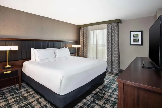 جناح بسرير كينج بغرفة نوم واحدة لذوي الإعاقة، DoubleTree by Hilton Lansing, MI 1/2