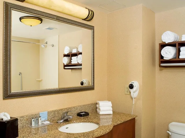 جناح بسرير كينج مع أريكة لذوي الإعاقة، Hampton Inn and Suites Pittsburgh Meadow Lands 5/8