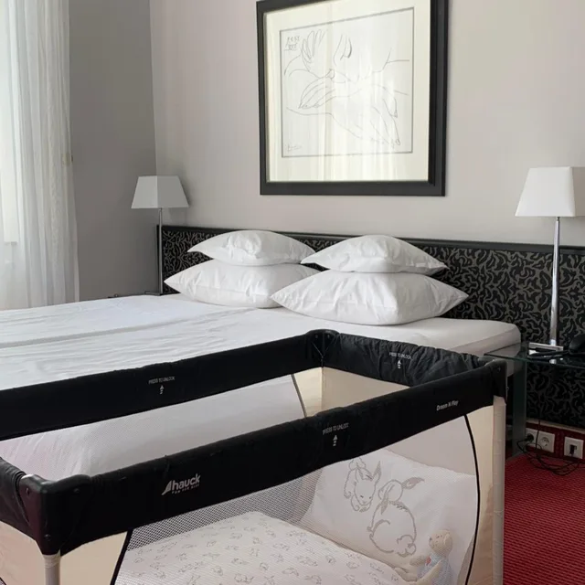 استوديو ديلوكس، Hotel Bamberger Hof Bellevue 4/20
