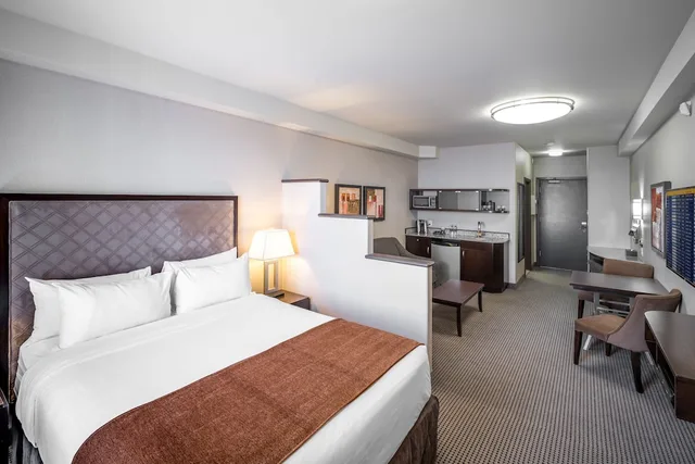 Platinum, Studio, Suite, Queen Bed، Acclaim Hotel By Clique 1/5