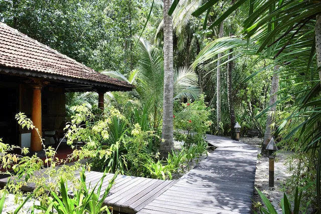 Gangehi Island Resort، Male 47/55
