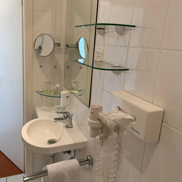 غرفة مفردة، HOTEL SONNENGARTEN 3/3