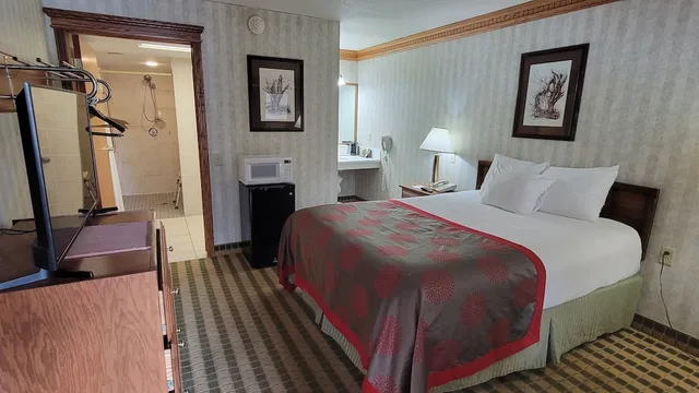 غرفة قياسية بسرير كوين لذوي الإعاقة، Ramada by Wyndham Saginaw Hotel and Suites 2/4