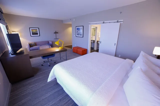 جناح استوديو بسرير كينج مع أريكة، Hampton Inn Suites Forest City Nc 1/3
