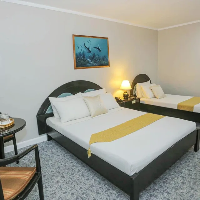 جناح ديلوكس، Holiday Plaza Hotel 3/9