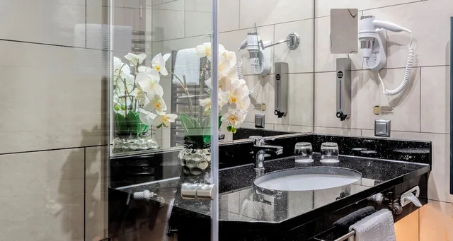 غرفة قياسية بسريرين منفصلين بإطلالة على المتنزه، PLAZA Premium Parkhotel Norderstedt 8/8