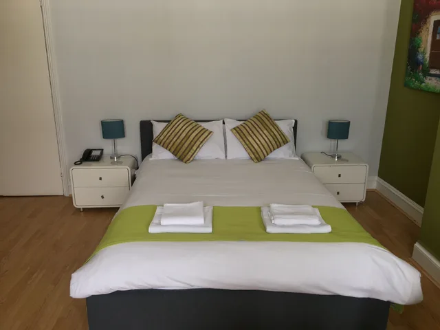غرفة سوبيريور بسرير كينج، da Vinci Hotel 5/6