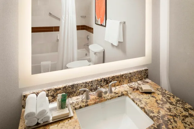 Room, King Bed, Hilton University Of Florida Conference Center Gainesville 4/4