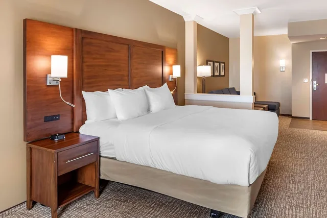 جناح بسرير كينج مع أريكة لذوي الإعاقة، Comfort Inn & Suites Clarkston Pine Knob Area 2/6