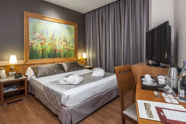 غرفة بريميوم مفردة بسرير مزدوج، Catalonia Excelsior 3/10