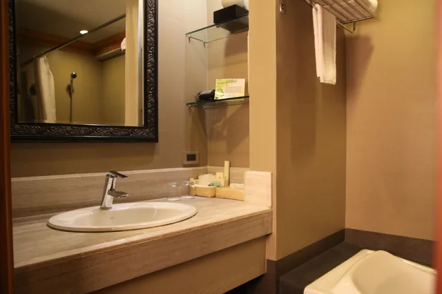 غرفة قياسية بسرير مزدوج، Herald Suites 7/10