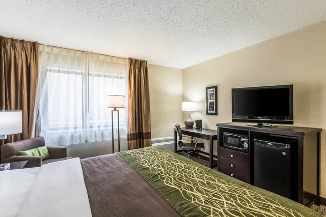 غرفة قياسية بسرير كينج بحوض جاكوزي، Comfort Inn Downtown Detroit MI 6/9