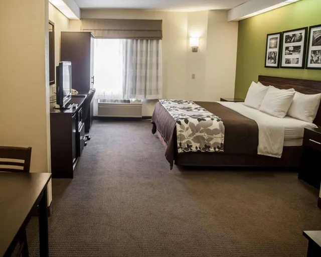 جناح بسرير كينج لذوي الإعاقة، Sleep Inn and Suites Hagerstown 1/2