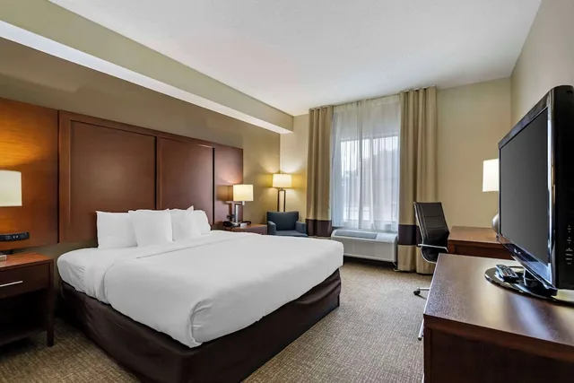 Standard, King Bed, Accessible, Comfort Inn and Suites Seguin, TX 1/3