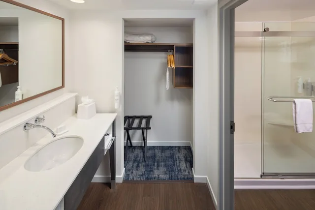 جناح بسرير كينج مع أريكة لذوي الإعاقة، Hampton Inn Suites Asheville I 26 6/7
