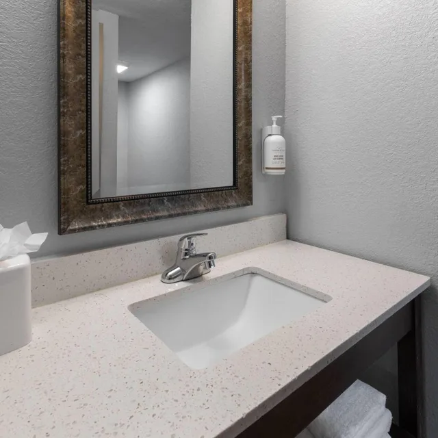 Deluxe, King Bed, Baymont By Wyndham Downtown Detroit 4/5