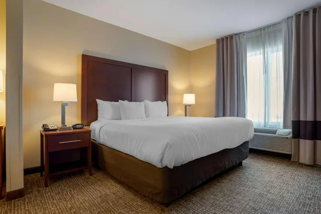 جناح بسرير كينج مع أريكة، Comfort Suites Foley - North Gulf Shores 1/9