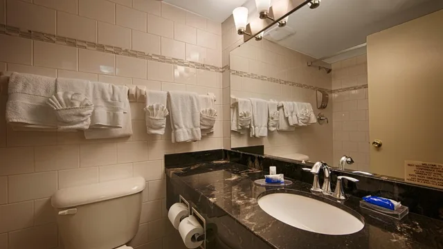Room, Double Bed, Accessible, Best Western Brantford Hotel Conference Centre 10/10